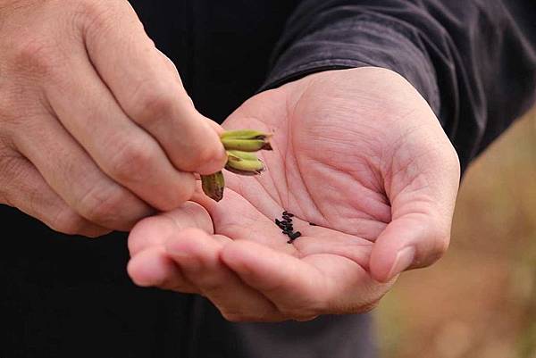 64CC2D9B-F868-44B0-A624-AE2FA32EDDE6 64CC2D9B-F868-44B0-A624-AE2FA32EDDE6