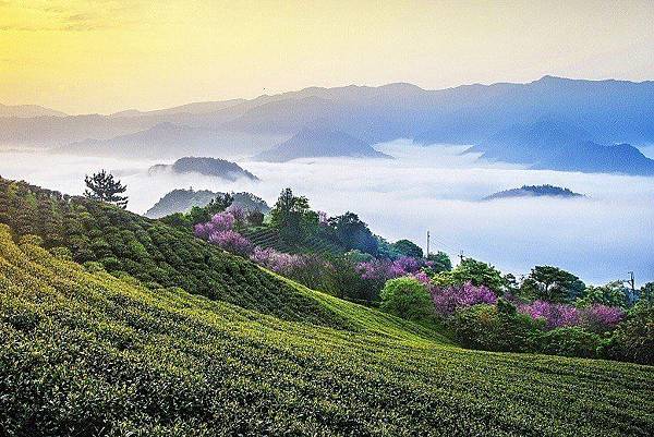 631AAFFA-26C0-42BC-A15F-FC3343DF086D 631AAFFA-26C0-42BC-A15F-FC3343DF086D