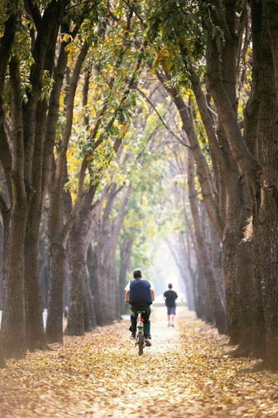 186F3665-343B-4CE3-8A75-E8D057893ACB 186F3665-343B-4CE3-8A75-E8D057893ACB