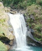 烏來的瀑布與河烏聲