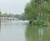 江南上海出國冒險第三天的早上,來了一場有如德布西的水中倒影瘦