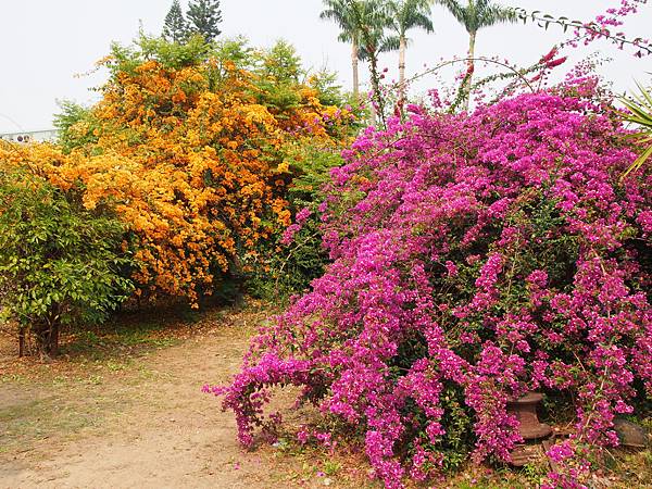 P4025898.JPG P4025898.JPG