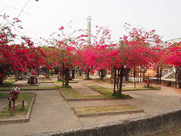 P4025899.JPG P4025899.JPG