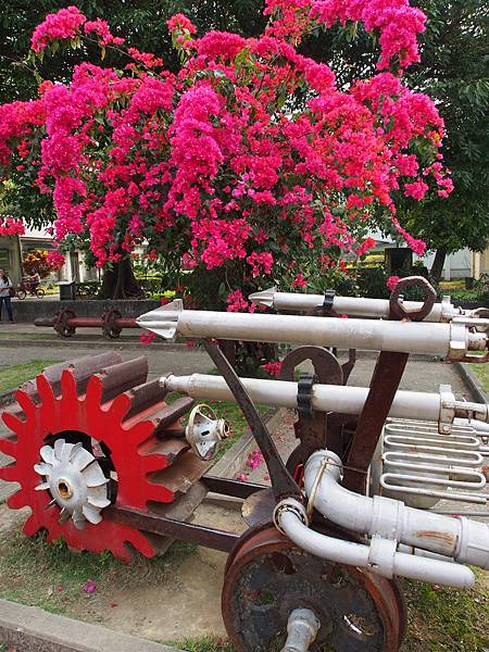 P4025910.JPG P4025910.JPG