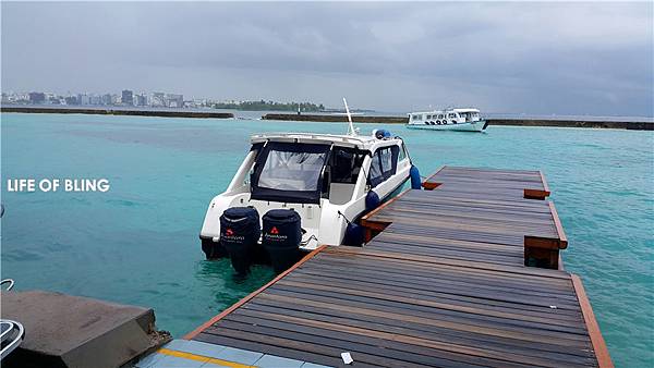 1 (11).jpg 1 (11).jpg