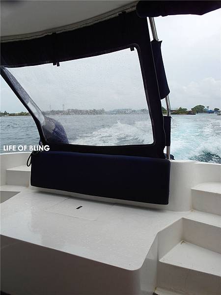 1 (18).jpg 1 (18).jpg