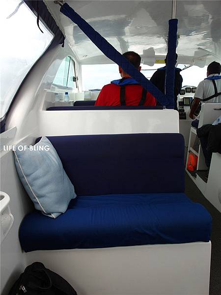 1 (19).jpg 1 (19).jpg