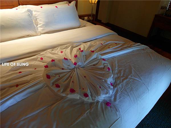 1 (35).jpg 1 (35).jpg