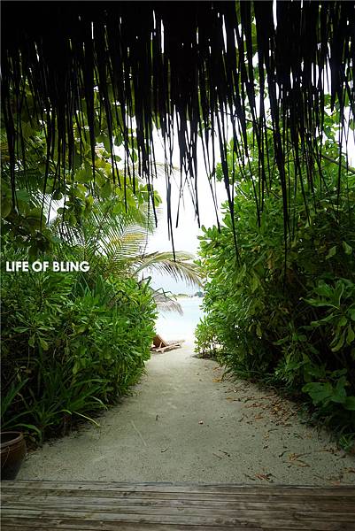 1 (42).jpg 1 (42).jpg