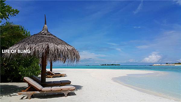 1 (65).jpg 1 (65).jpg