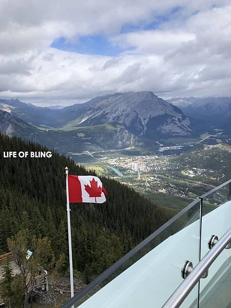 S__23543817.jpg S__23543817.jpg