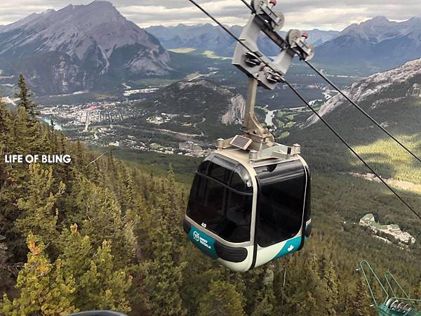 70414170_10221070204567726_7705800881035280384_o (1).jpg 70414170_10221070204567726_7705800881035280384_o (1).jpg