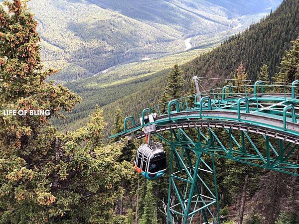 70649586_10221070315450498_4052612260105814016_o.jpg 70649586_10221070315450498_4052612260105814016_o.jpg