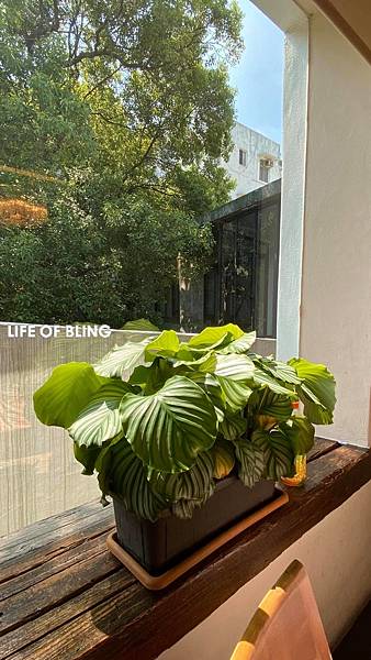 107592955_1476187129235034_495849847841143039_o.jpg 107592955_1476187129235034_495849847841143039_o.jpg