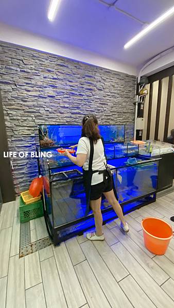 IMG_2924.JPG IMG_2924.JPG