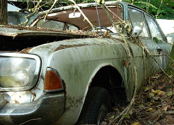 car-cemetery-342600_1920.jpg