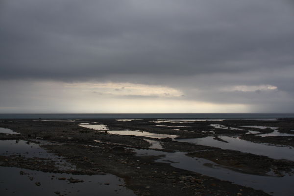 DPP_1728.JPG DPP_1728.JPG