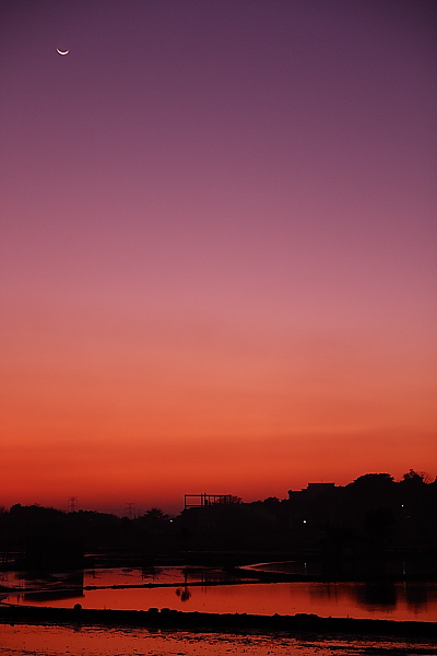 DPP_1540.JPG DPP_1540.JPG