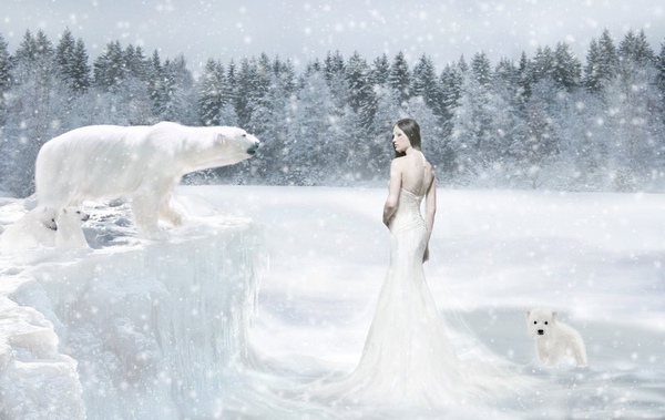 photo_manipulation_Arctic_Queen.jpg