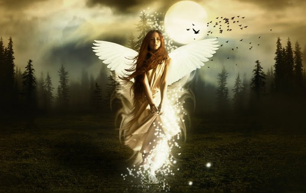 photo_manipulation_Rise_on_an_Angel_V3.jpg