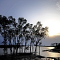 孫德爾本斯三角洲（Sundarbans Delta）.jpg