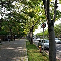 20140524_161929.jpg