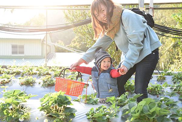 2020_0208_163202.JPG 2020_0208_163202.JPG