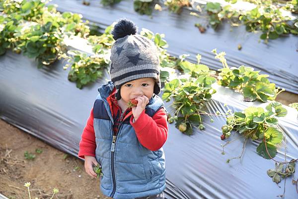 2020_0208_164106.JPG 2020_0208_164106.JPG