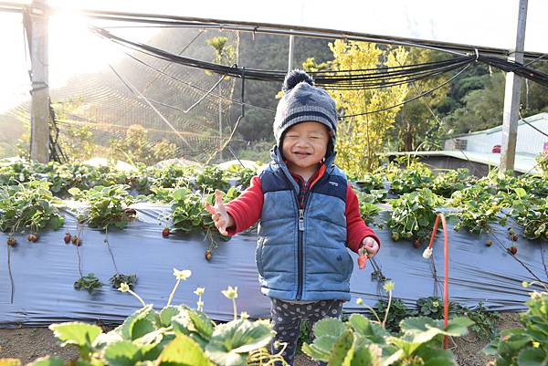 2020_0208_164641.JPG 2020_0208_164641.JPG