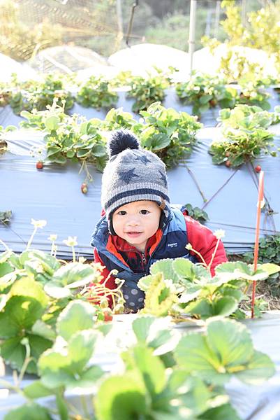 2020_0208_164659.JPG 2020_0208_164659.JPG