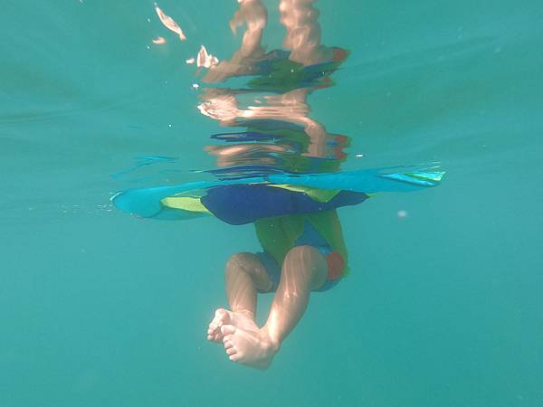 GPTempDownload (11).jpg GPTempDownload (11).jpg