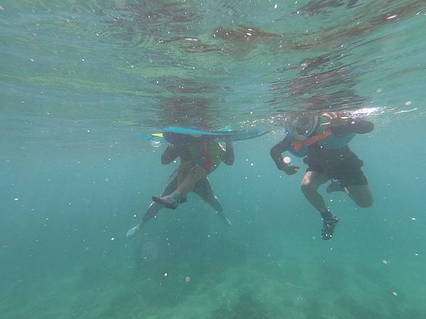 GPTempDownload (32).jpg