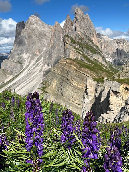 【2023 義大利】0806 Seceda 驚喜滿滿的抹茶山