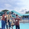 IMG_7527.jpg