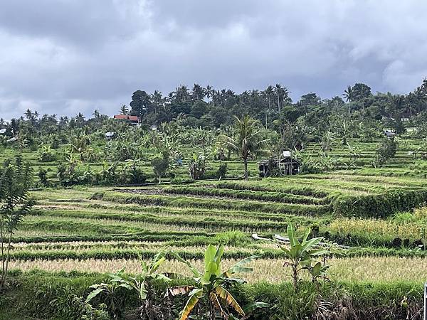 【2024 星馬峇里島】0730 前往Amed 【2024 星馬峇里島】0730 前往Amed