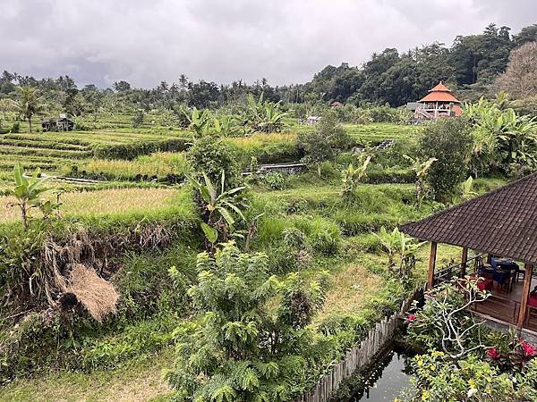 【2024 星馬峇里島】0730 前往Amed 【2024 星馬峇里島】0730 前往Amed