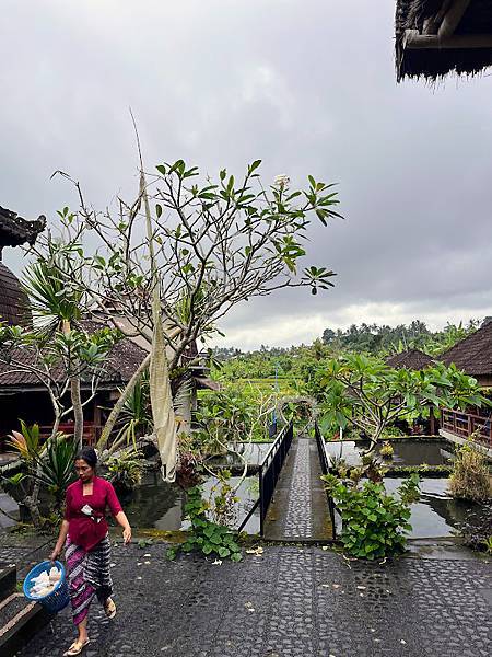 【2024 星馬峇里島】0730 前往Amed 【2024 星馬峇里島】0730 前往Amed