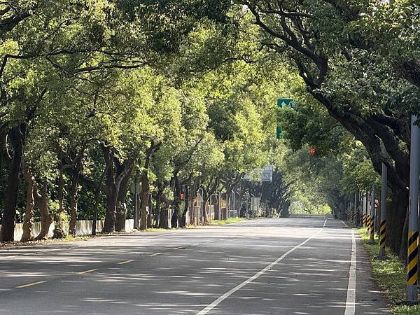 2025年6月 2025年6月