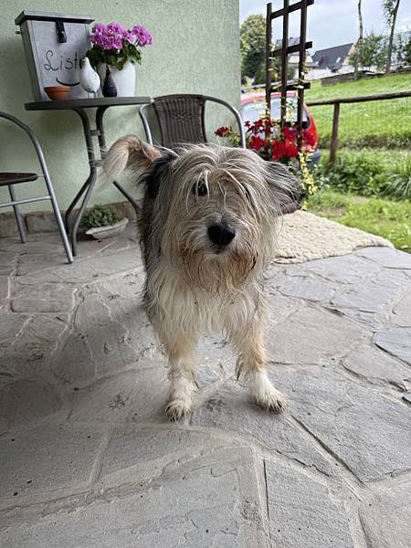 【2025 波蘭】0806 【2025 波蘭】0806