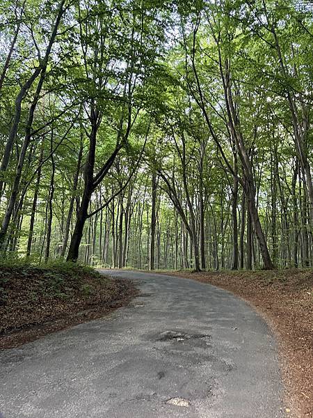 【2025 波蘭】0806 【2025 波蘭】0806