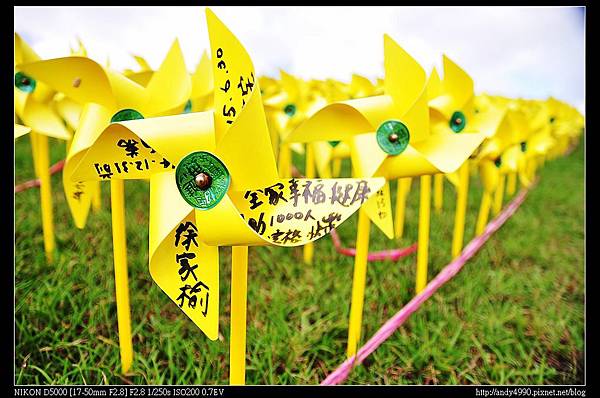 20131109基隆擁恆園區黃色小鴨1