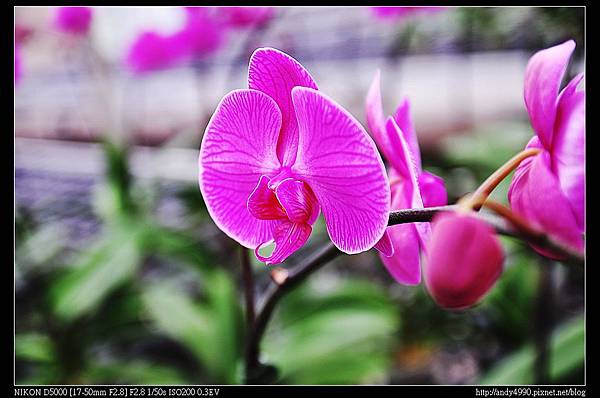 20141115金車蘭花園礁溪園區11