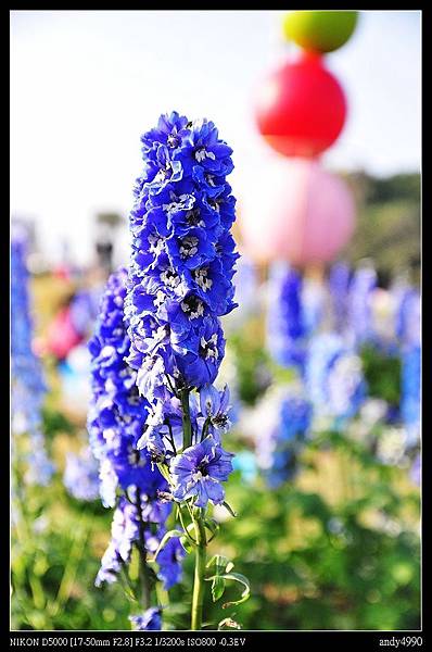 20150104台北花博萬花節2