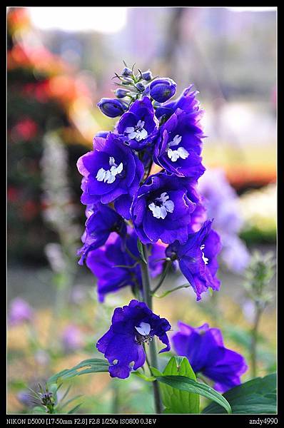 20150104台北花博萬花節26