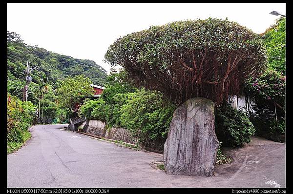 20150426北市內溝溪11