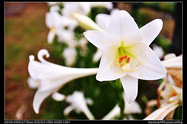 20150531基隆八斗子海濱公園10