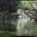 20150717台南四草綠色隧道7