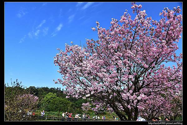 20160405三芝三生步道16