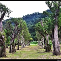 20151205北市山水綠生態公園7