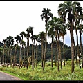 20151205北市山水綠生態公園12